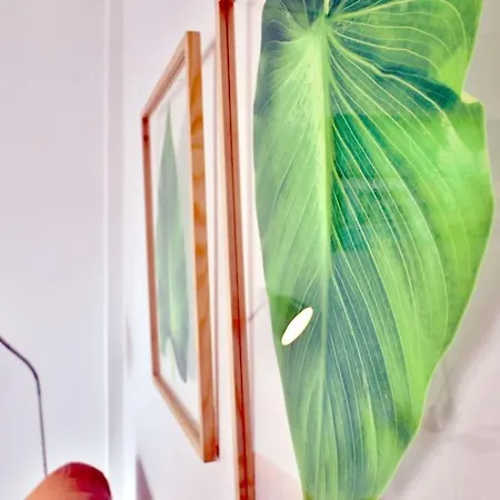 Almanzor Apartment