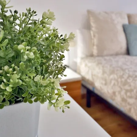 Almanzor קורדובה